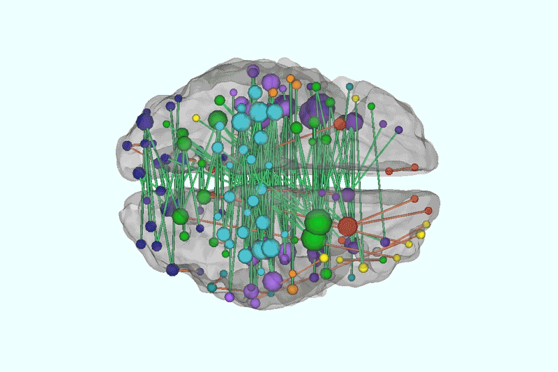 Brain network animation